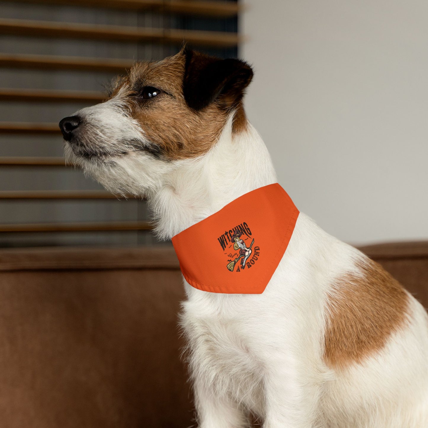 Witching A'Round Orange Halloween Pet Bandana Collar