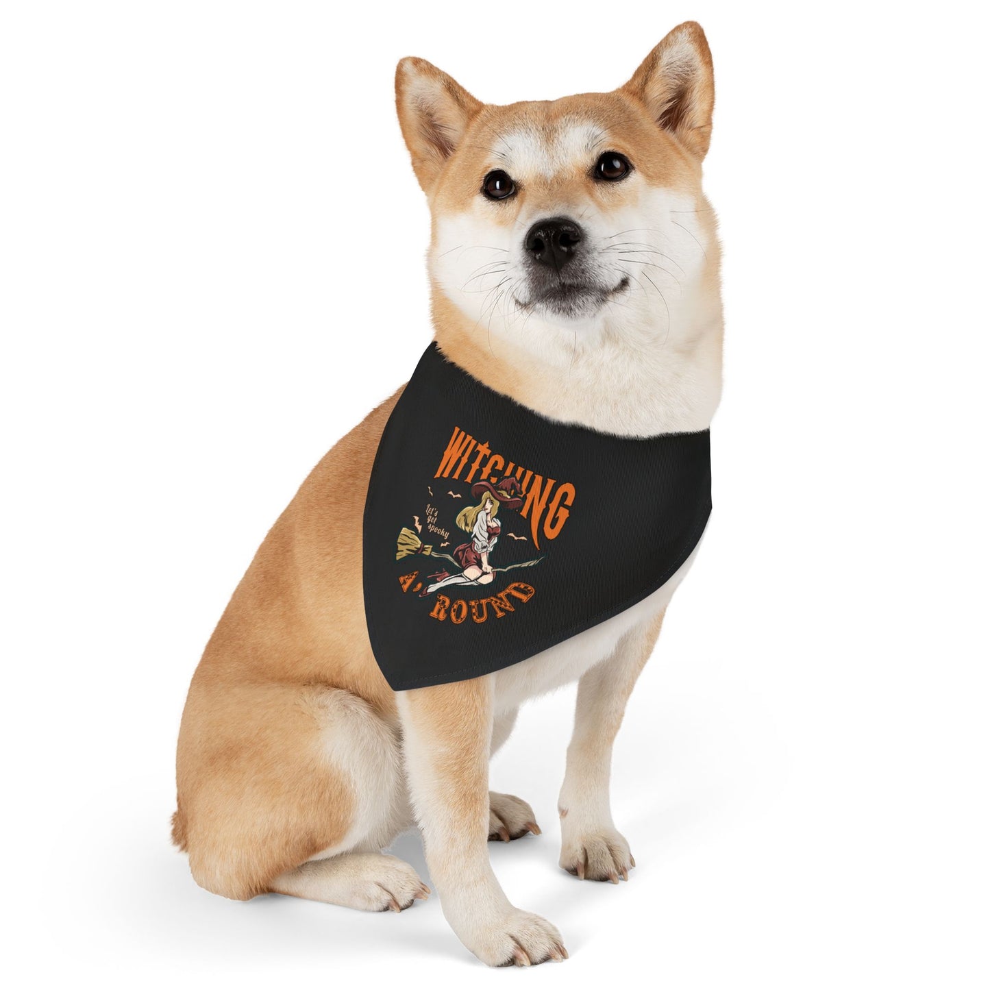 Witching A'Round Black Halloween Pet Bandana Collar