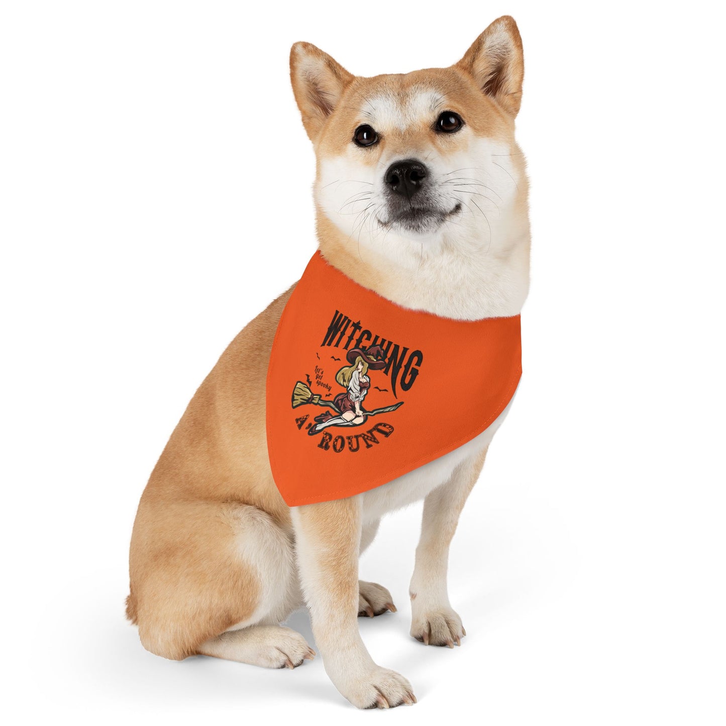 Witching A'Round Orange Halloween Pet Bandana Collar