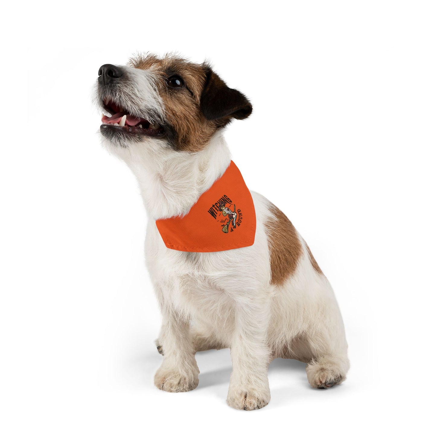 Witching A'Round Orange Halloween Pet Bandana Collar