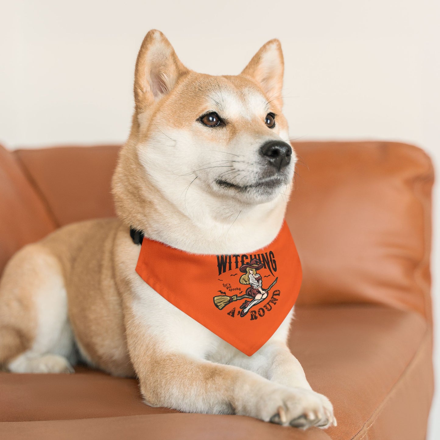 Witching A'Round Orange Halloween Pet Bandana Collar