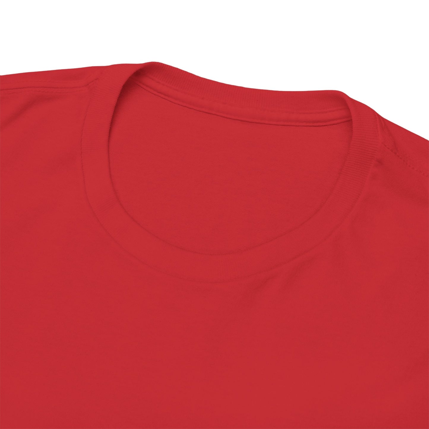 Diddycrat Definition T-Shirt – Condensed Version Politically Incorrect Election Tee