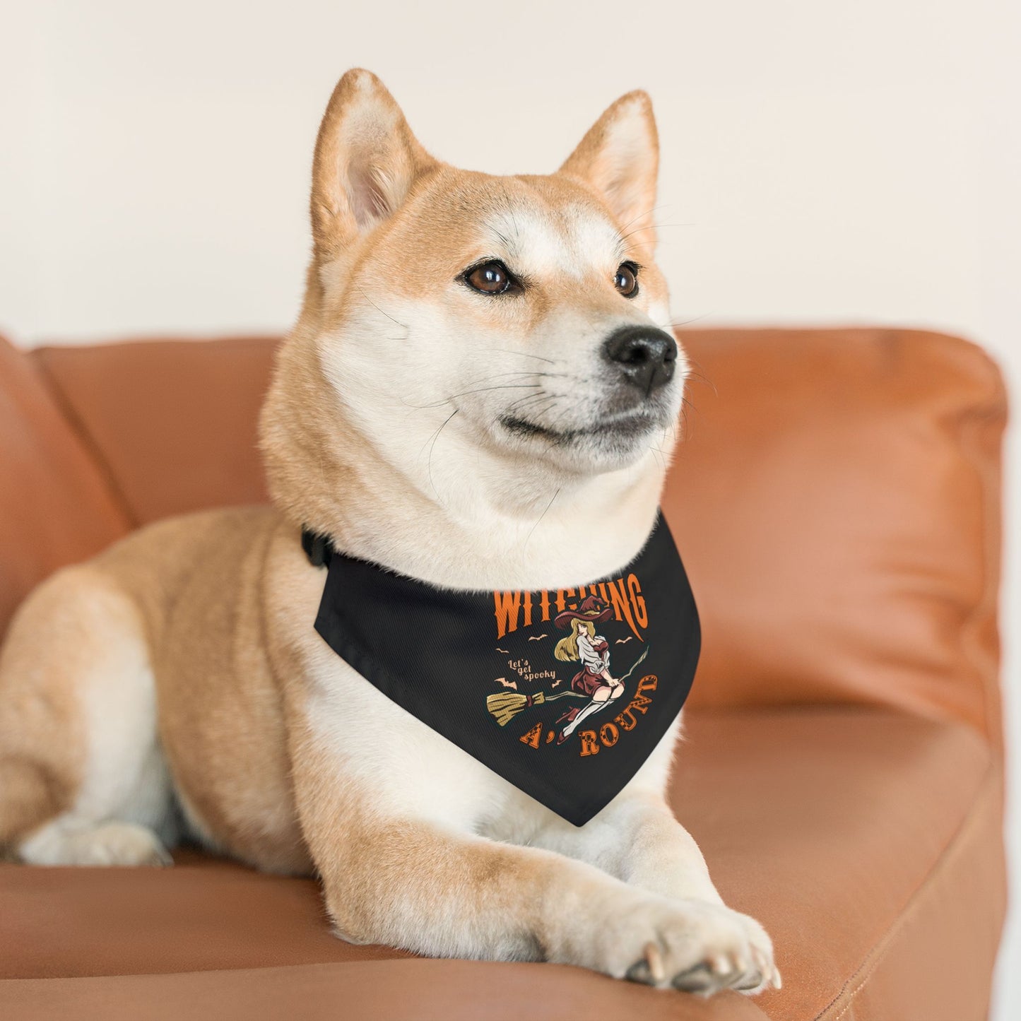 Witching A'Round Black Halloween Pet Bandana Collar