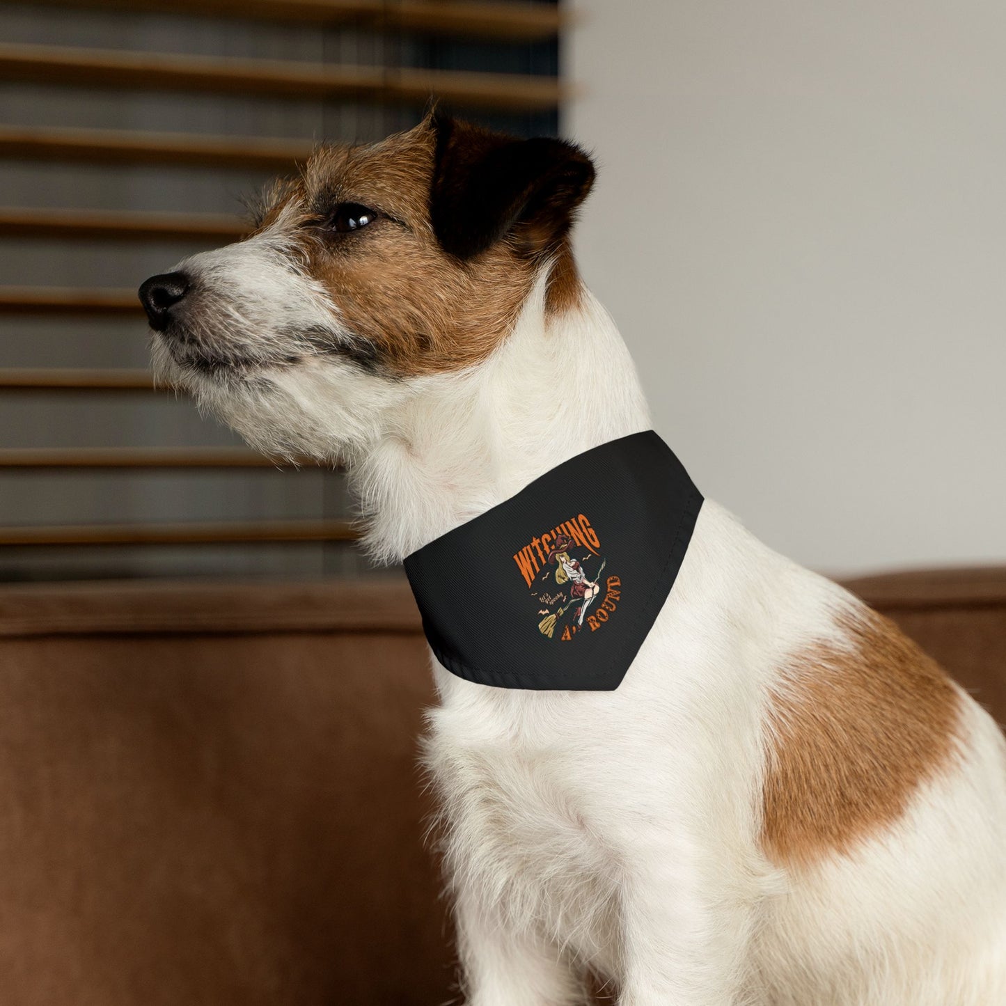 Witching A'Round Black Halloween Pet Bandana Collar