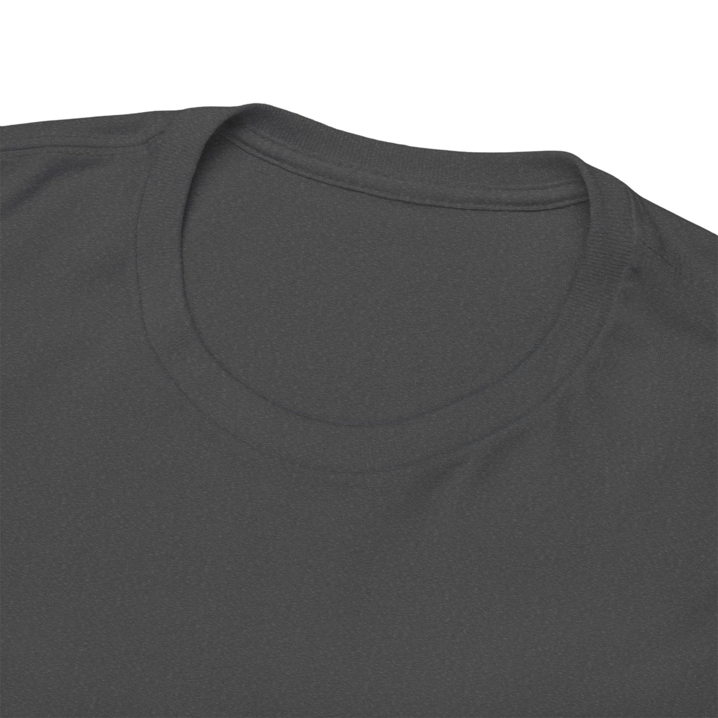 Biden Acronym Politically Incorrect - Premium T-Shirt
