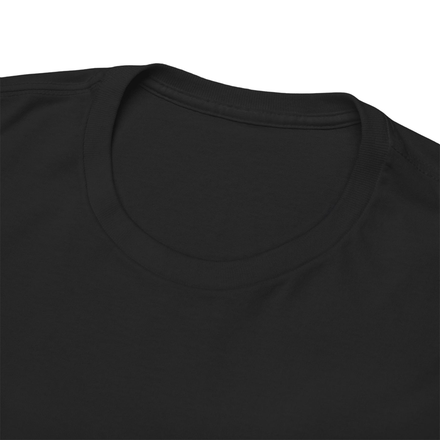 Biden Acronym Politically Incorrect - Premium T-Shirt