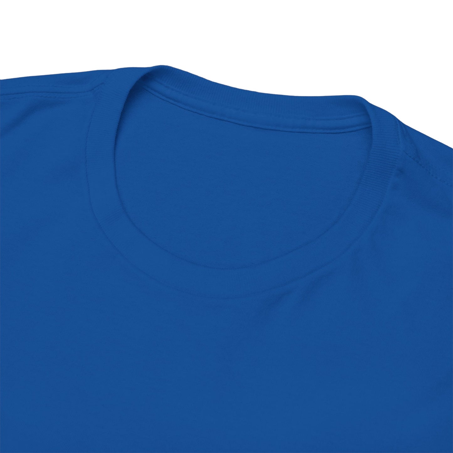 Diddycrat Definition T-Shirt – Condensed Version Politically Incorrect Election Tee