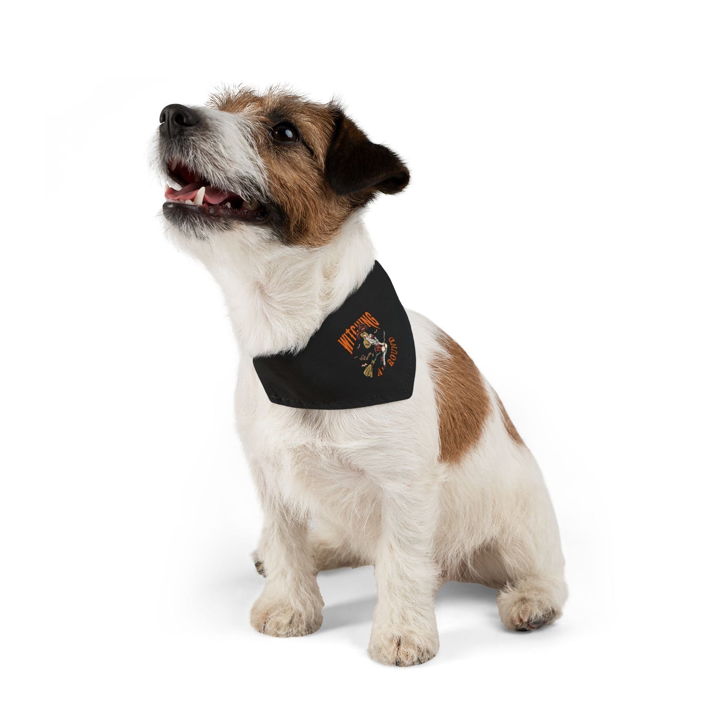Witching A'Round Black Halloween Pet Bandana Collar