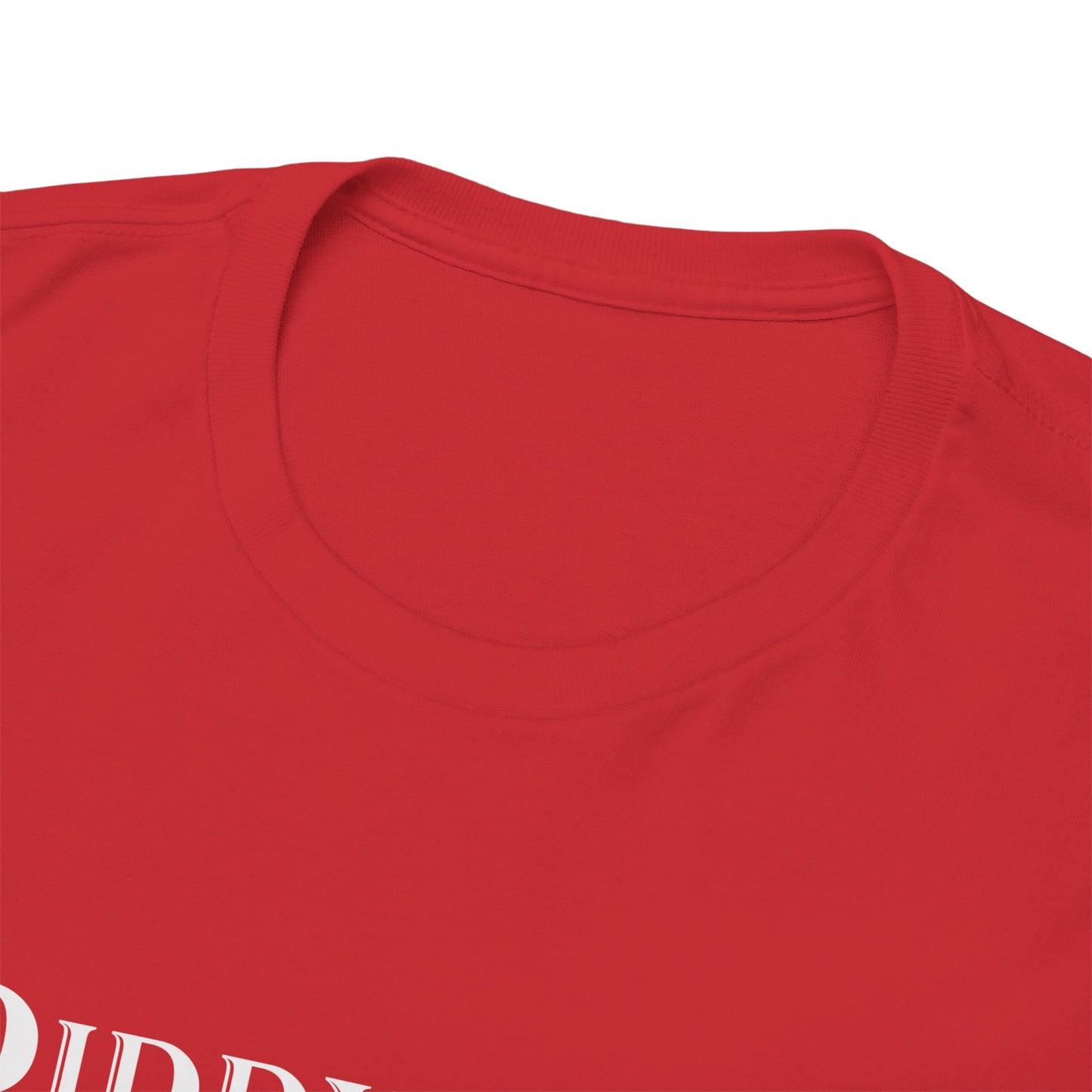 Diddycrat Full Definition Double-Sided Politically Incorrect T-Shirt
