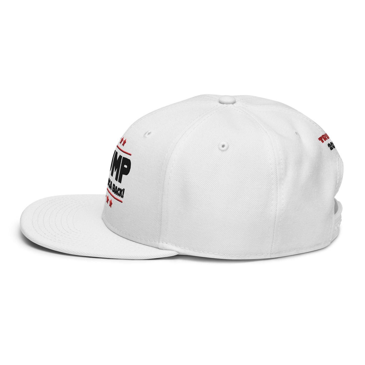 Trump Take America Back - Trump 2024 White Snapback Hat